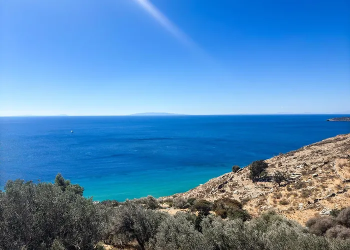 Andros Seaview Ξενοδοχείο *
